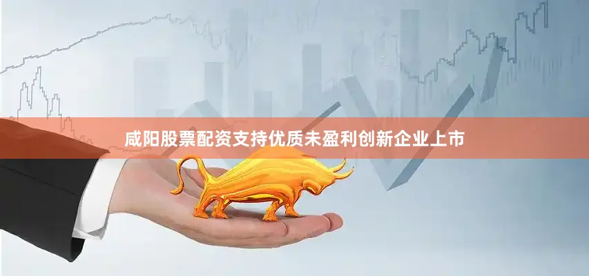 咸阳股票配资支持优质未盈利创新企业上市
