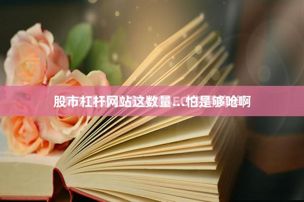 股市杠杆网站这数量...怕是够呛啊