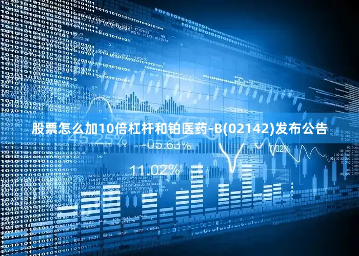 股票怎么加10倍杠杆和铂医药-B(02142)发布公告