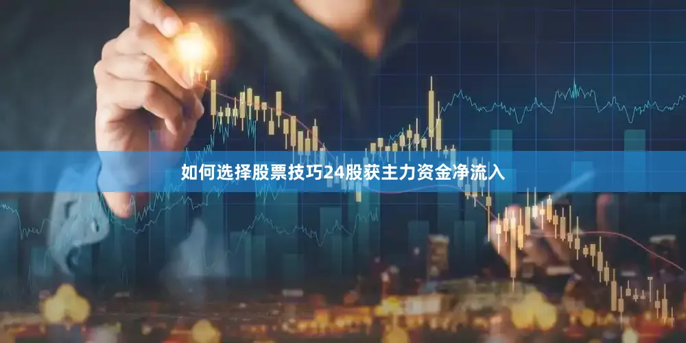 如何选择股票技巧24股获主力资金净流入