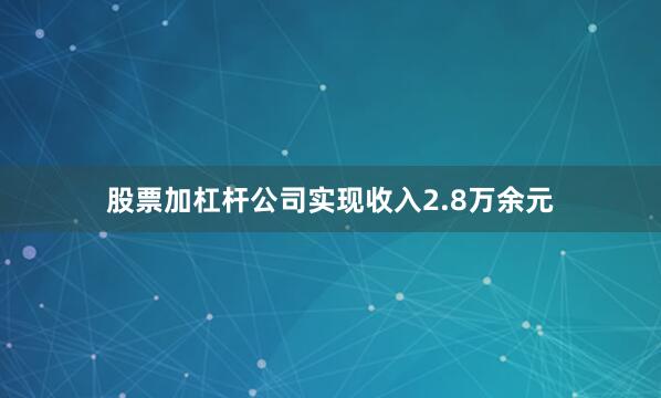股票加杠杆公司实现收入2.8万余元